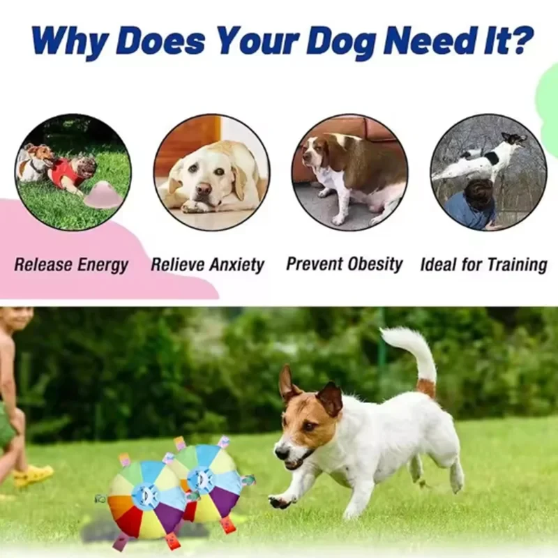 Pelota de fútbol para perros con asas de agarre y mordida resistente - imagen 4