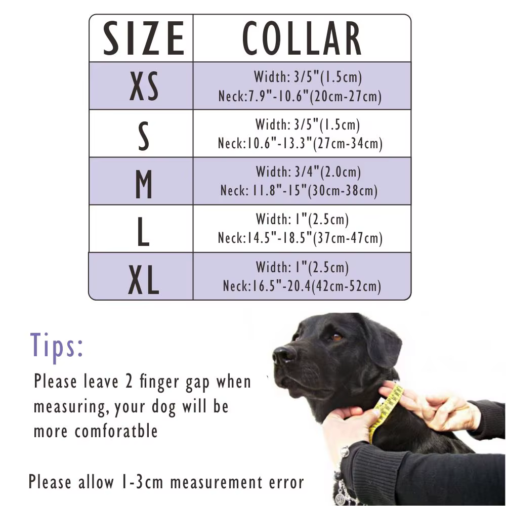 Collar personalizado para perro de cuero con placa grabada - imagen 5