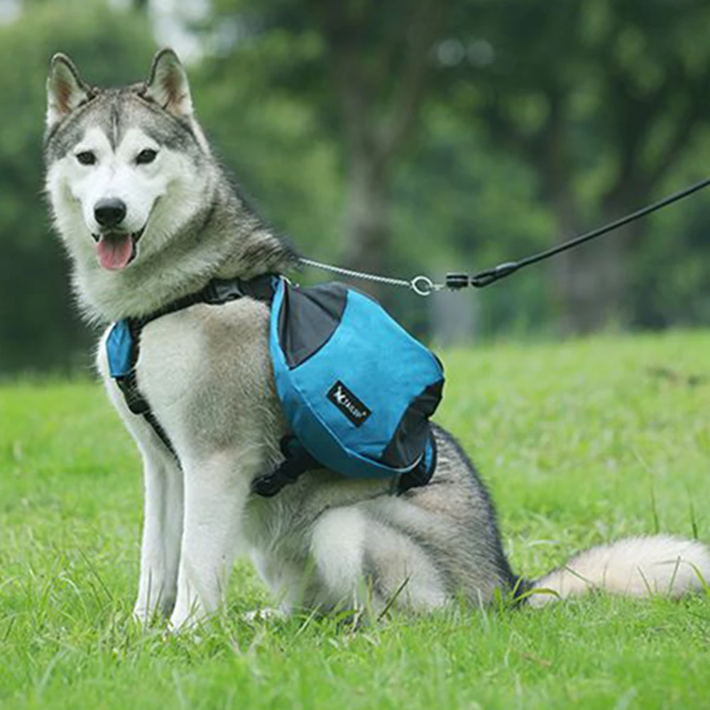 Mochila arnés con chaleco reflectante para perros – Transporte y paseo seguro - imagen 2