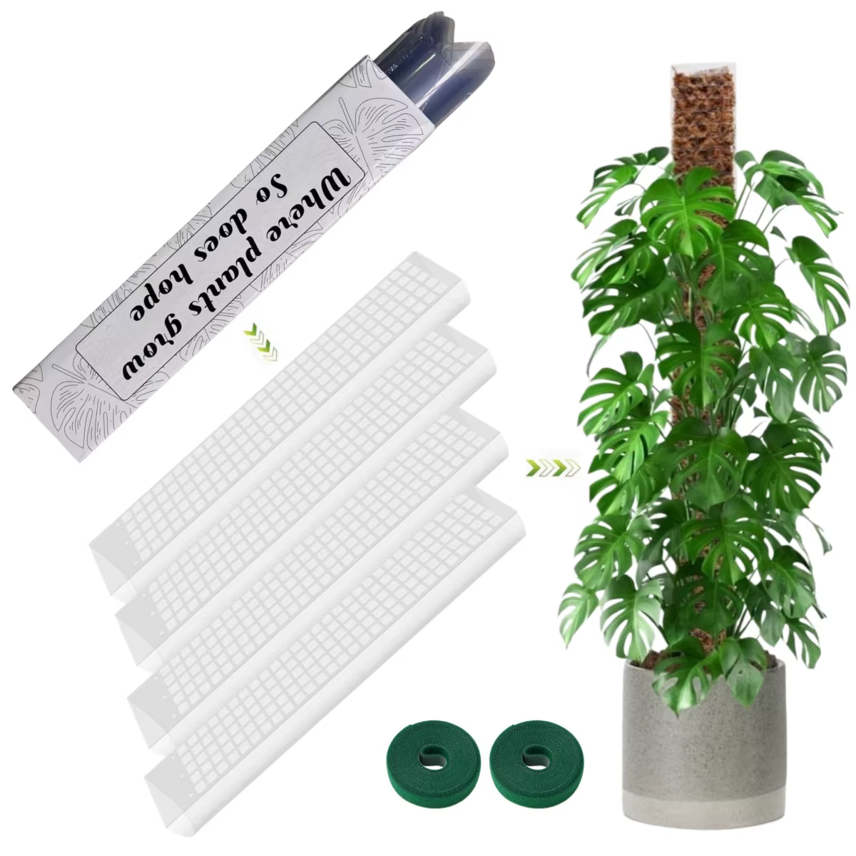 Soporte para plantas trepadoras de interior: varilla de musgo - imagen 3