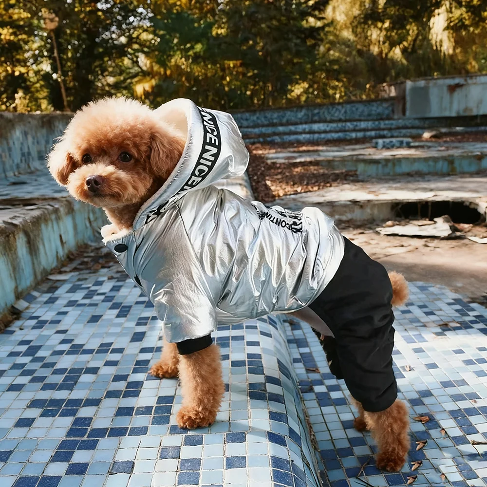 Perro pequeño usando el abrigo térmico en exteriores