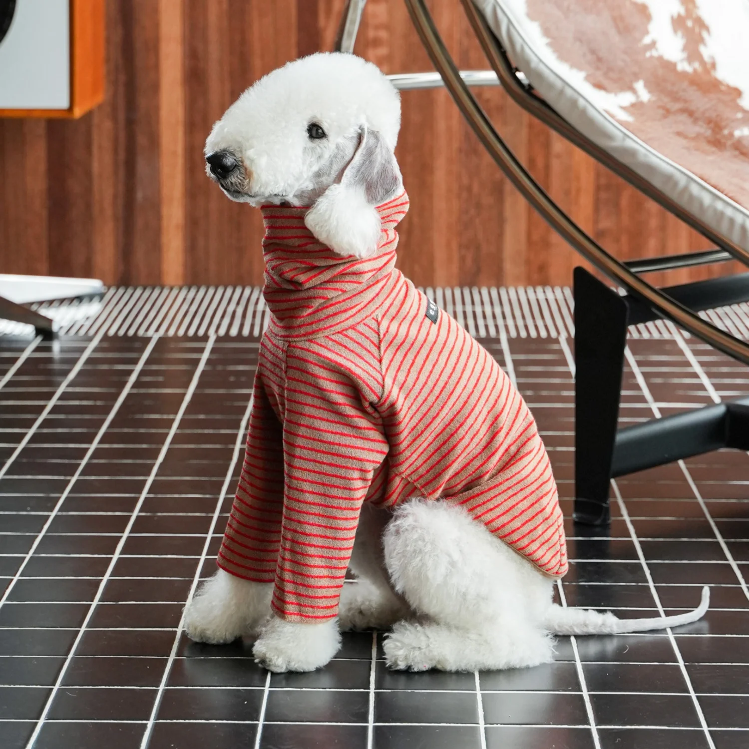 Chaleco suave de punto para Whippet