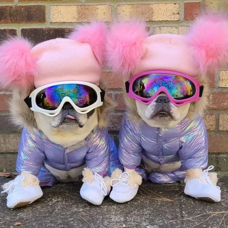 Gafas para perros grandes en uso