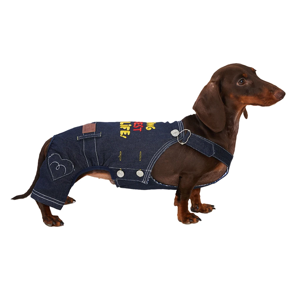 Overall denim para dackel: corte tipo peto