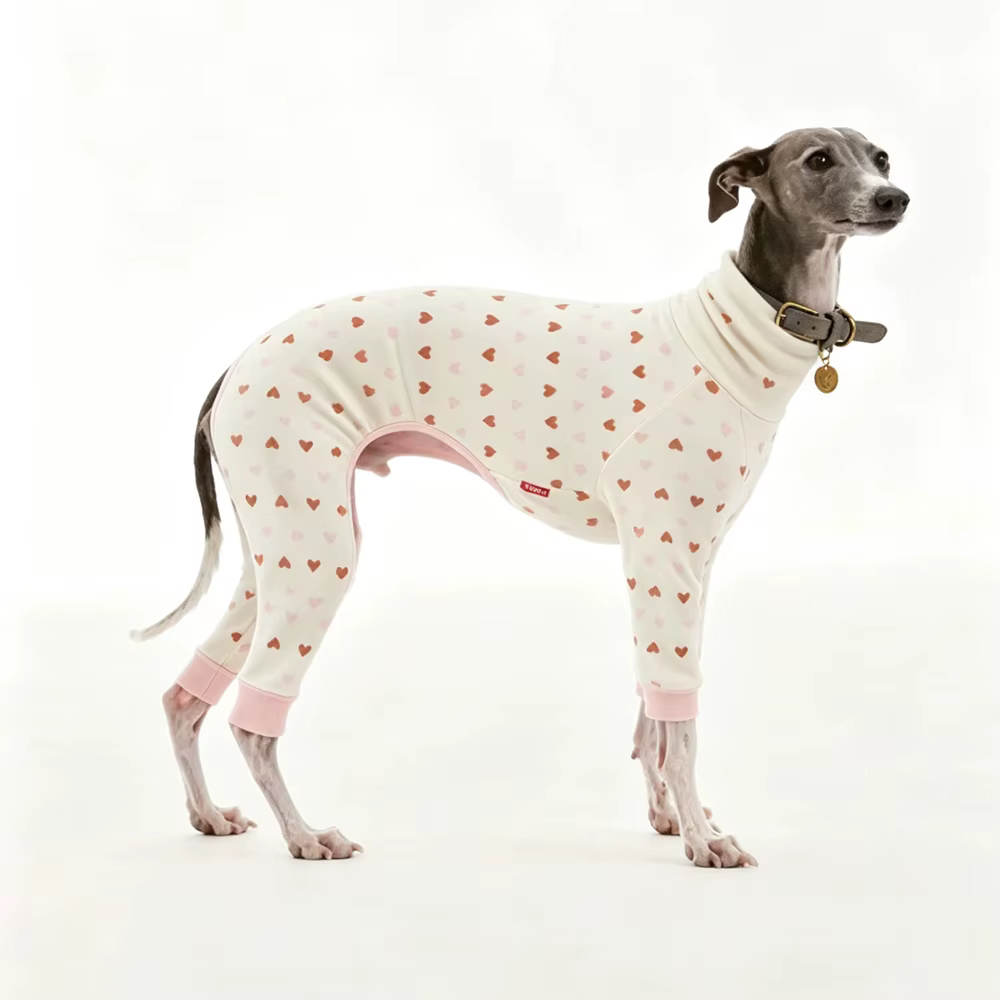 Pijama suave de cuello alto para Galgo Italiano y Whippet