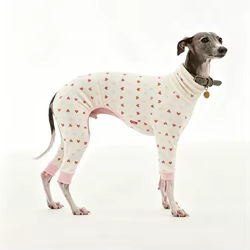 Pijama suave de cuello alto para Galgo Italiano y Whippet