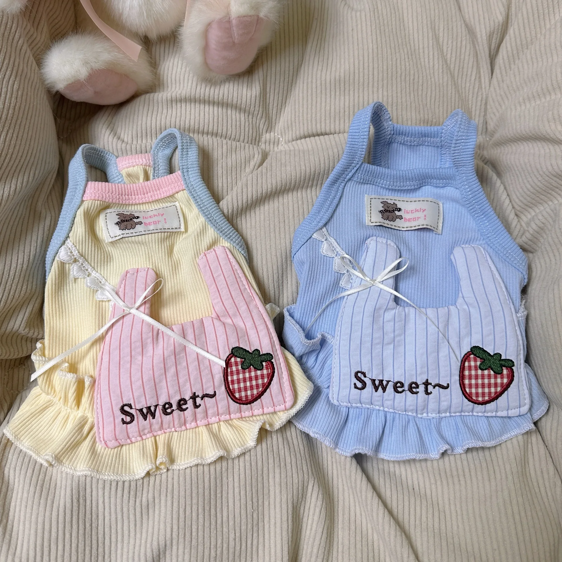 Conjunto completo para mascota con diseño de fresa
