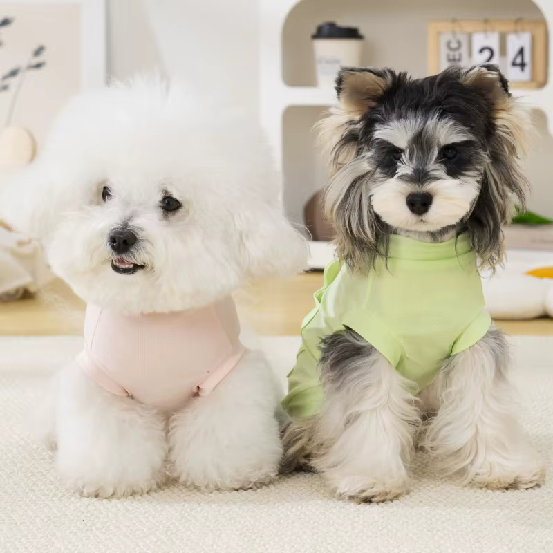 Camiseta de verano para perros y gatos con oso 3D