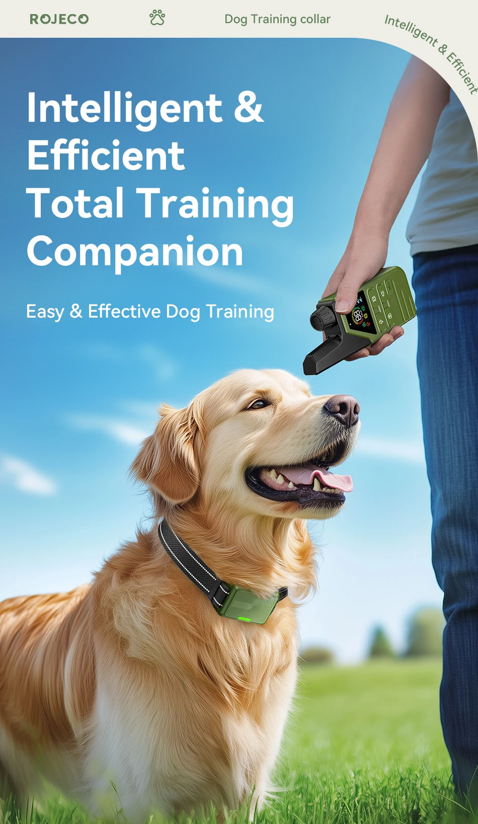 Collar de entrenamiento con mando y pantalla