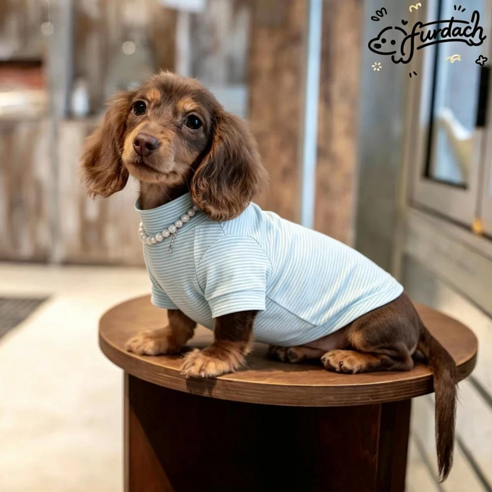 Camiseta de algodón a rayas para perros salchicha Dachshund - imagen 4