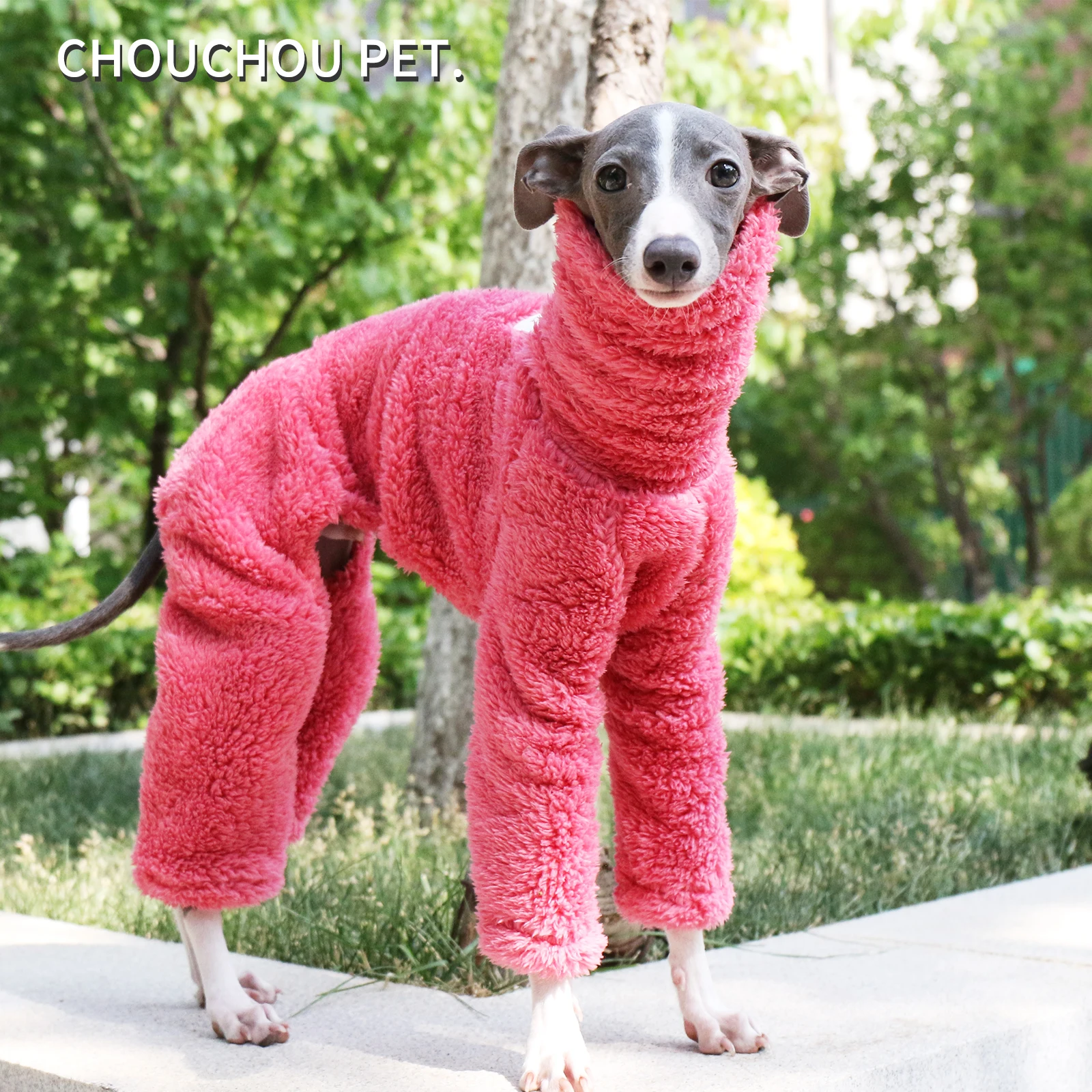 Aislamiento cuello alto para galgo italiano