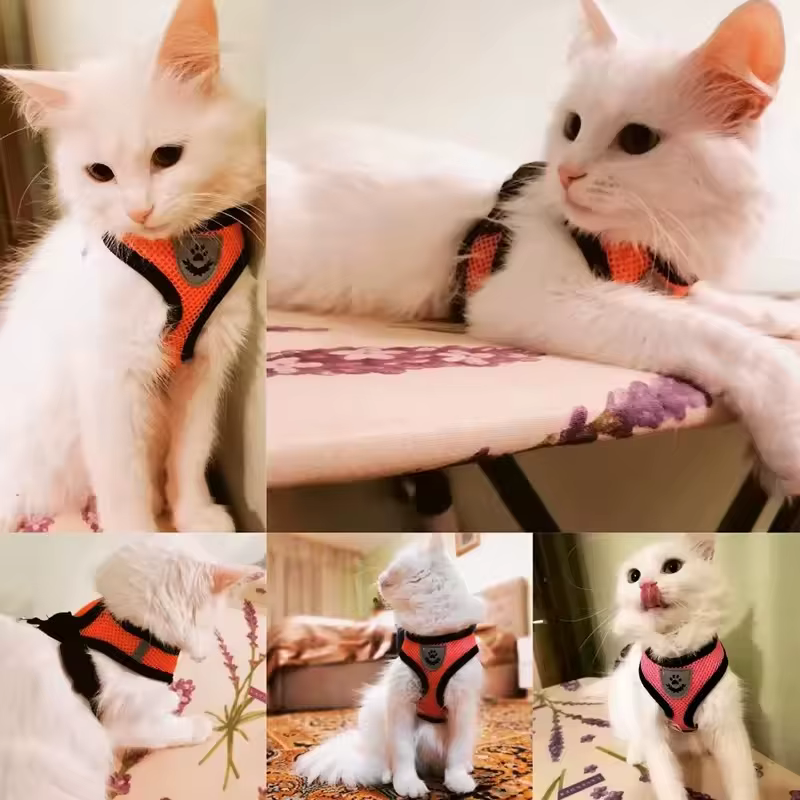Arnés ajustable malla transpirable verano para perros y gatos - imagen 3
