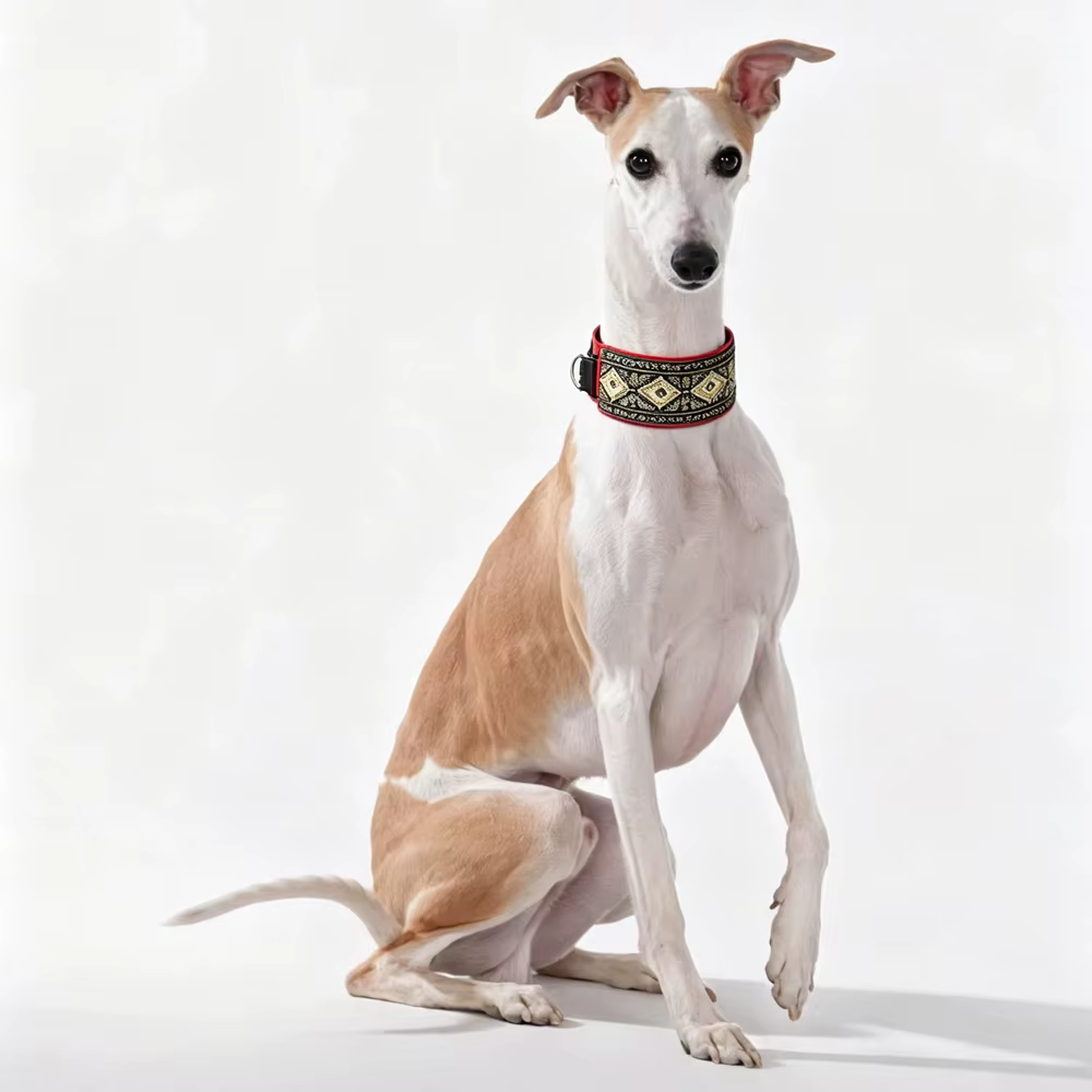 Collar bohemio ajustable para Whippet, diseño étnico robusto - imagen 5