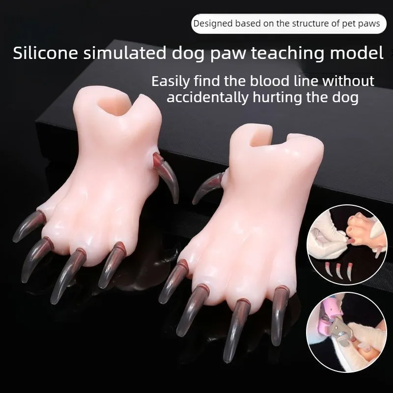 Set de práctica de uñas de silicona para perros – recorte canino - imagen 2