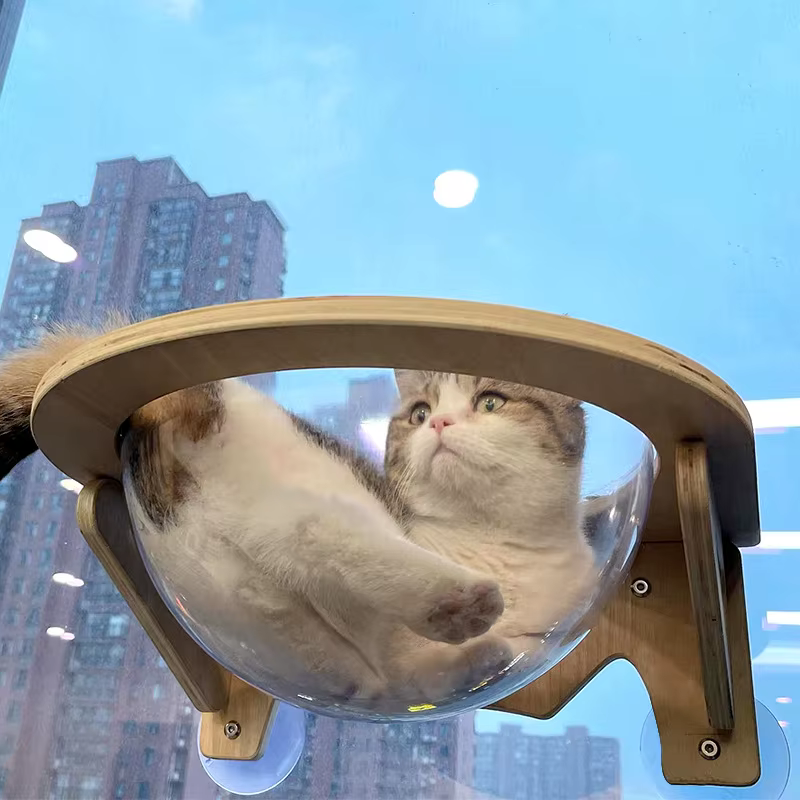 Hamaca ventana para gatos con ventosa transparente, madera - imagen 4