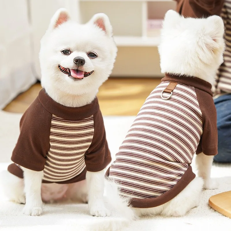Perro con sudadera