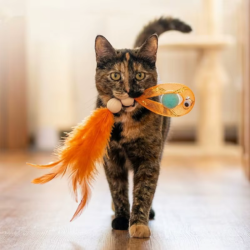 Juguete pez para gatos con campana en mano