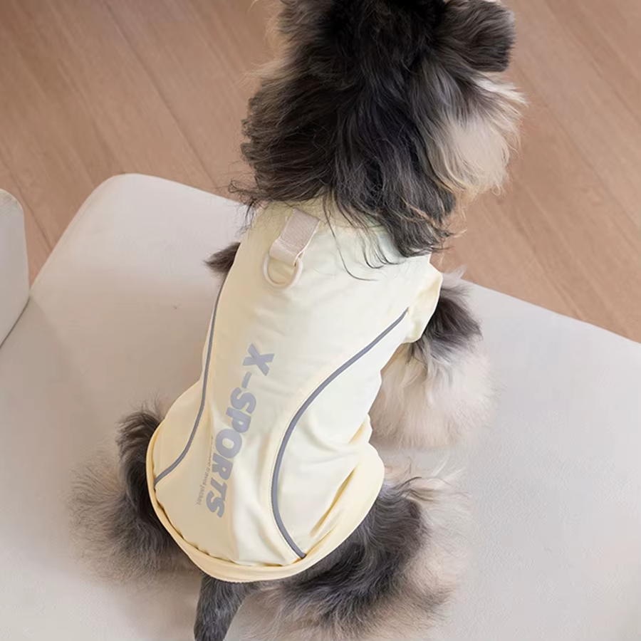 Chaleco para Yorkie en paseo