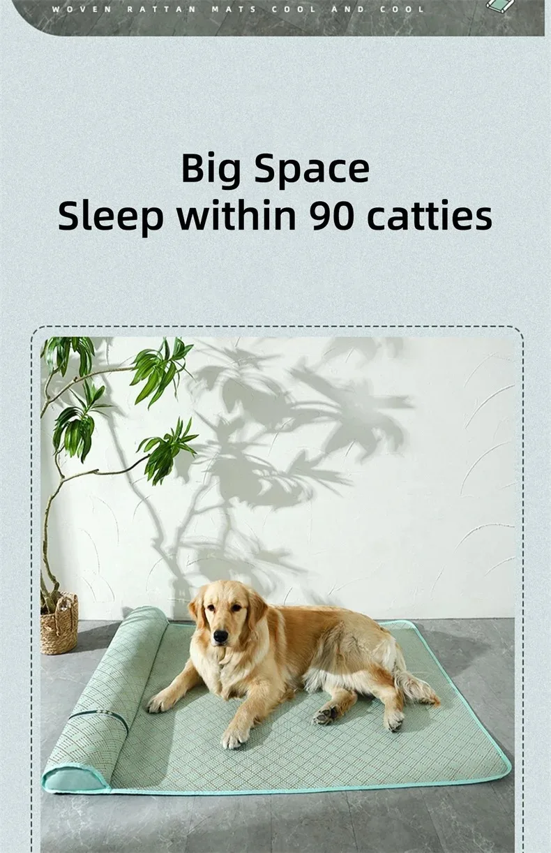 Cama de exterior BeiYu Pet