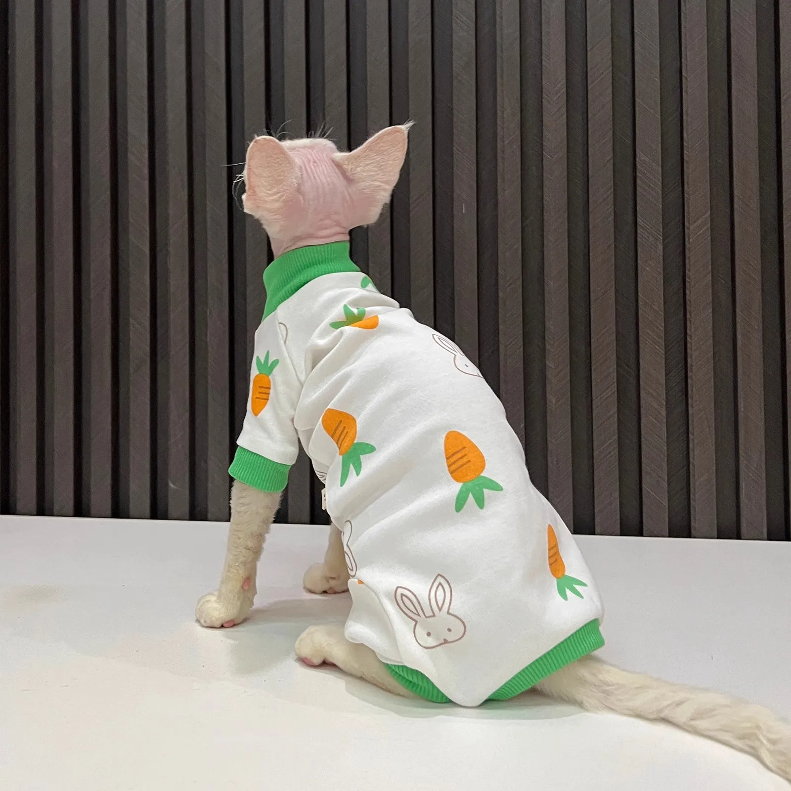 Gato Sphynx usando el mono completo