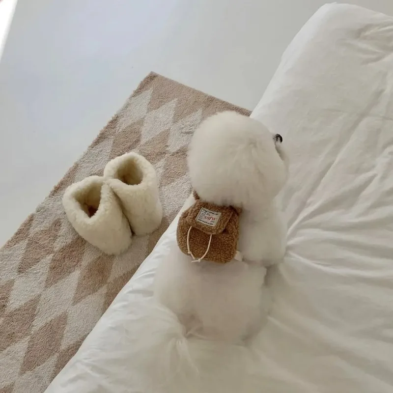 Mochila puesta en un cachorro de raza pequeña