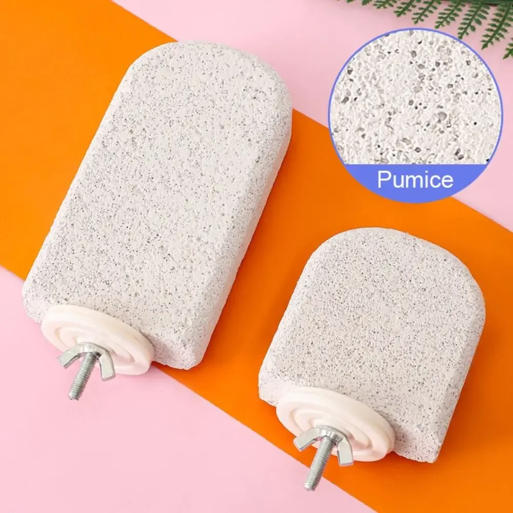 Detalle de la textura de piedra pómez de la plataforma para aves