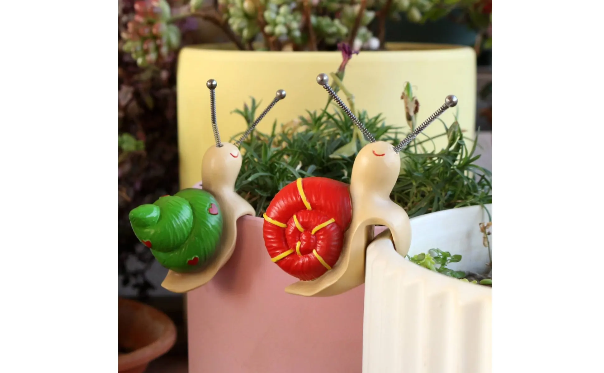 Caracoles decorativos en maceta con plantas
