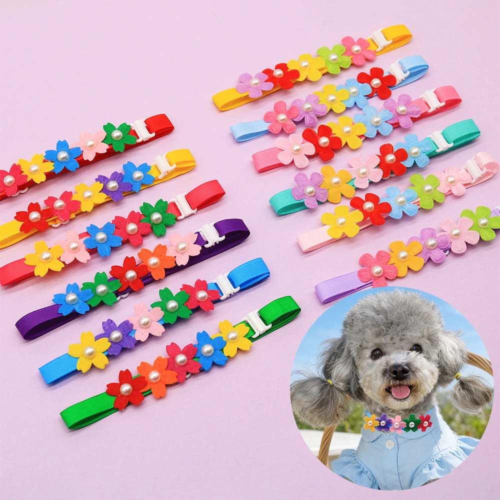 Collares y lazos - gatos y perros