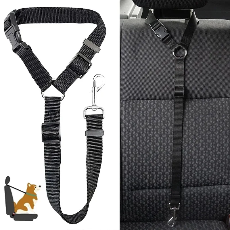 Cinturón de seguridad para perros en el coche