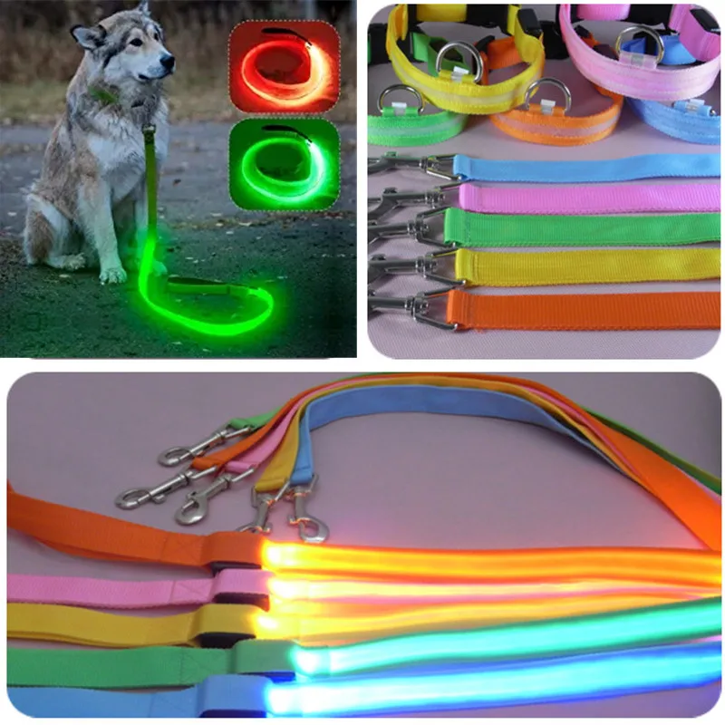 correa-led-perro-colores