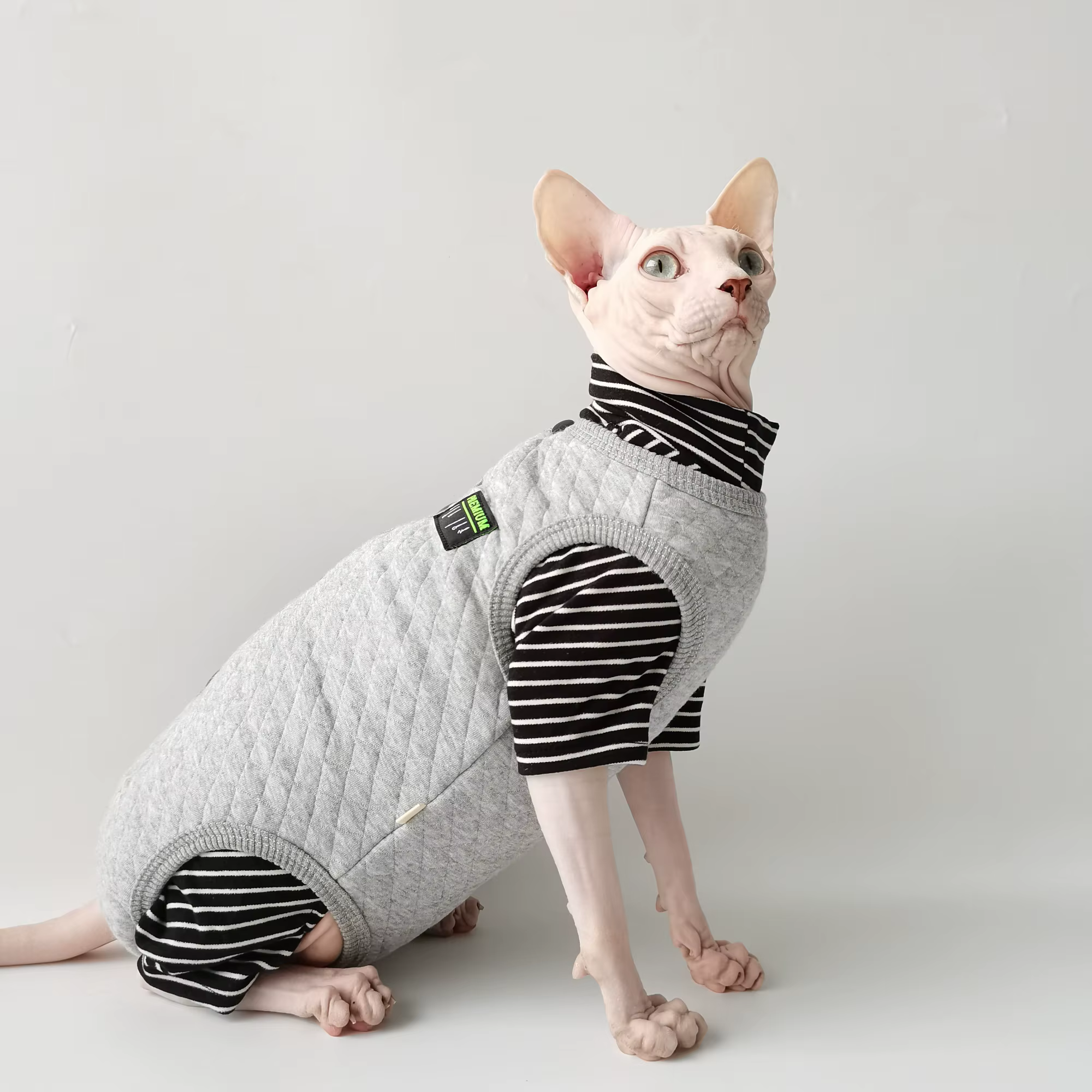 Abrigo invierno para gato Sphynx: vientre protegido, gris cálido