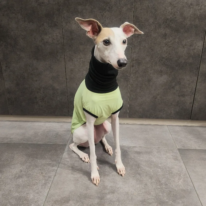 Chaleco transpirable con protección solar para perros Whippet y Galgo - imagen 3