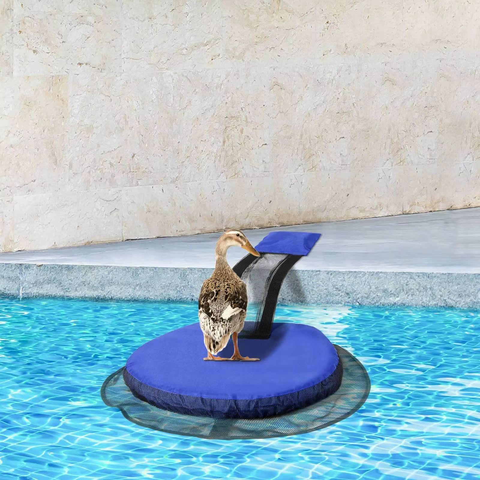 Rampa de escape para piscina – Salva animales y ranas extraíble - imagen 3