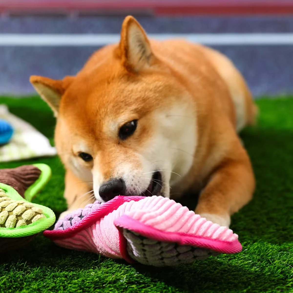 Juguete verde para perros pequeños