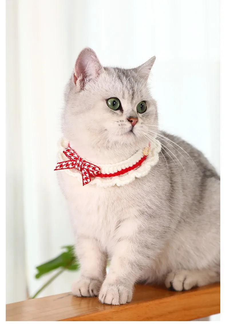 Collar decorativo para gato y perro pequeño