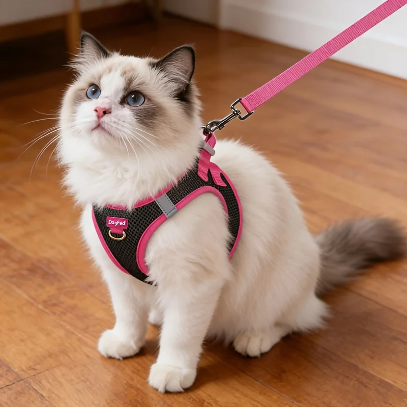 Arnés de pecho para gatos con correa – Ajustable y seguro - imagen 2