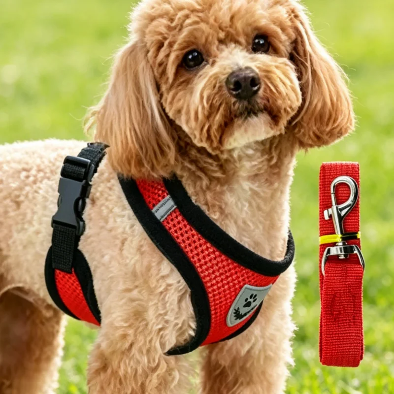Conjunto transpirable arnés y correa para perros y gatos - imagen 2
