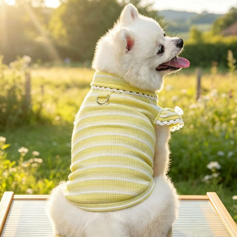 Camiseta de malla de verano para perros pequeños y gatos con lazo - imagen 5