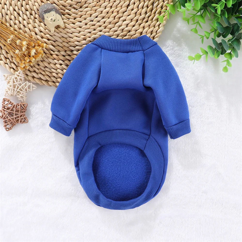 Perro pequeños con sudadera en el exterior