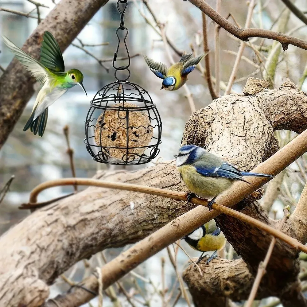 Comedero para pájaros de exterior con cadena de metal para jardín y balcón - imagen 5