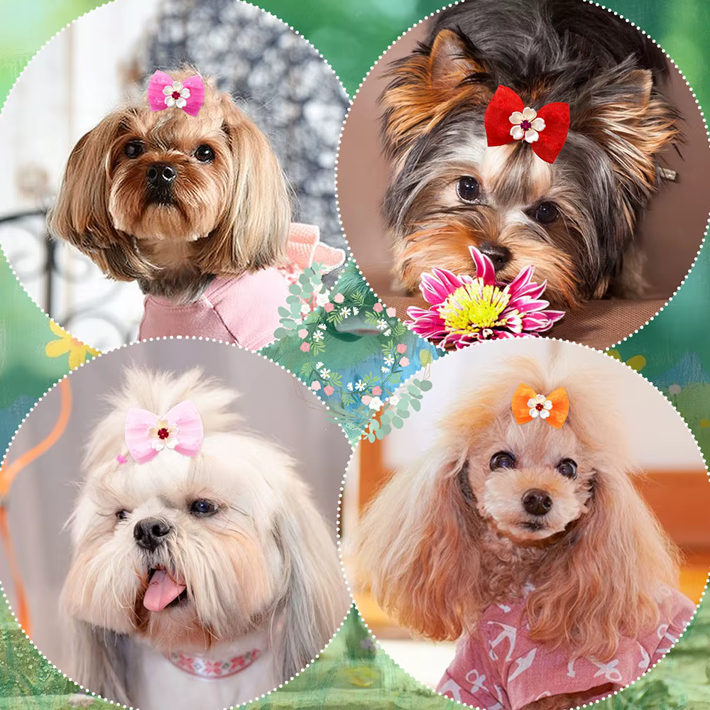 Lazos para el pelo de perro con bandas elásticas, coloridos - imagen 5