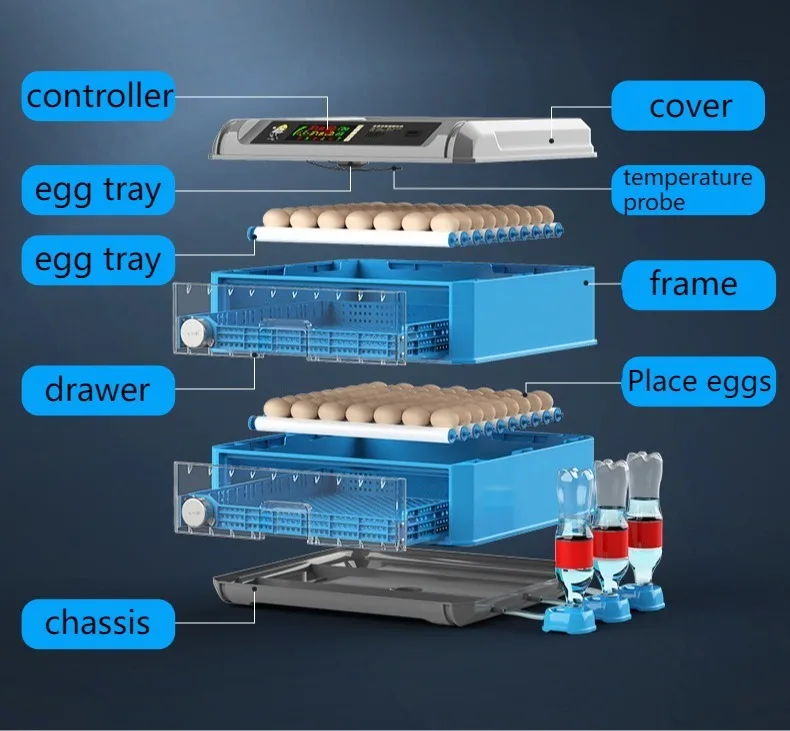 Interior mostrando las bandejas de huevos