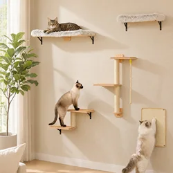 Rascador de pared para gatos: estantes y cuerdas de trepa interior