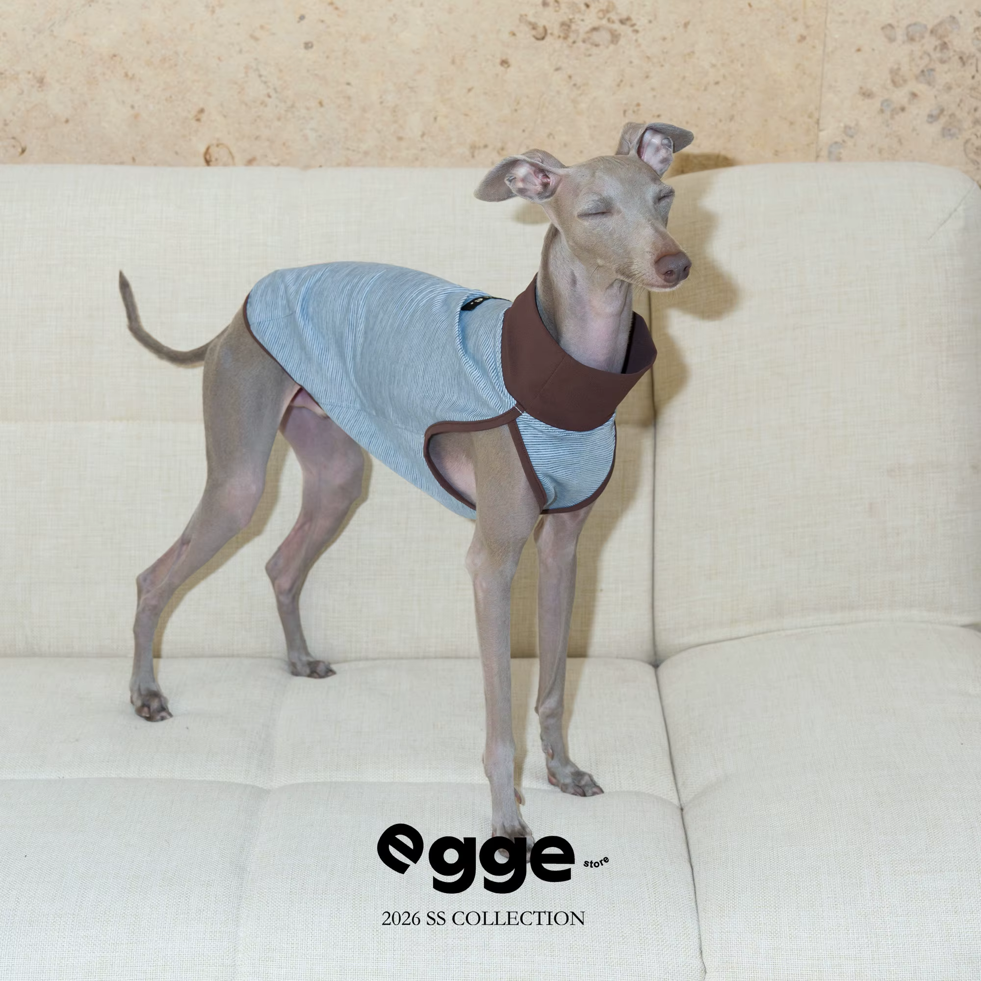 Camiseta refrescante sin mangas para Greyhound italiano y Whippet