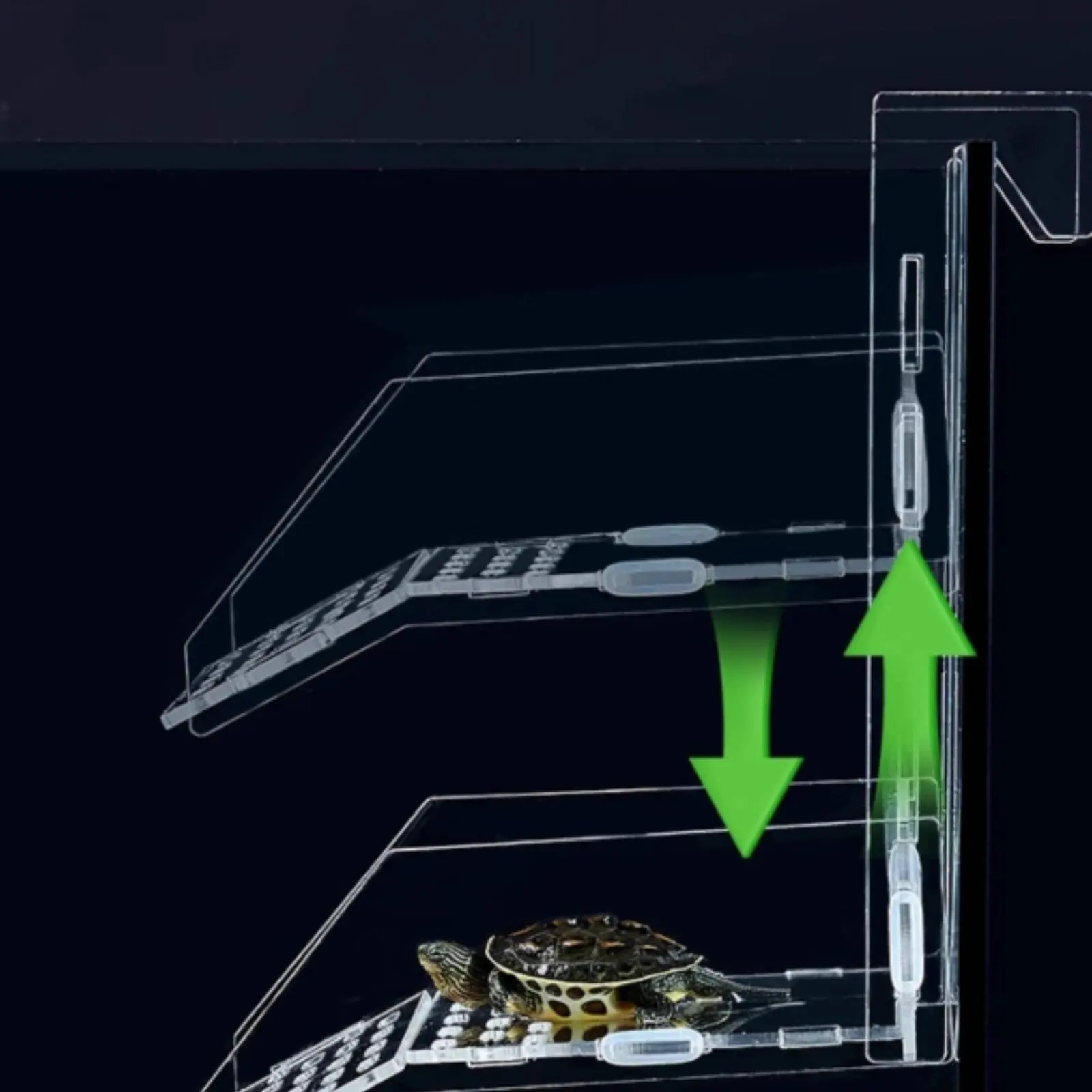 Plataforma acrílica para tortugas con escalera y barandillas altas