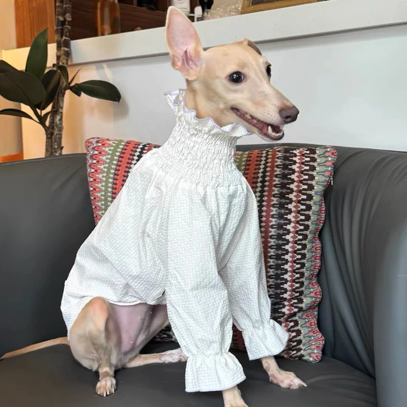 Perro modelo usando la falda