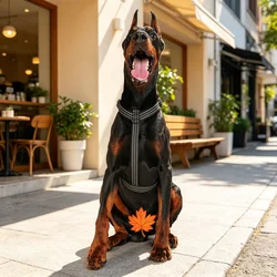 Arnés reflectante ajustable nylon rayas liberación rápida perros y gatos