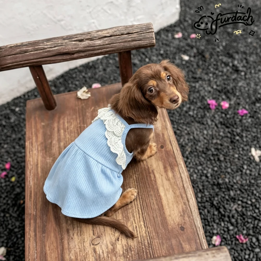 Vestido de verano para perros dachshund