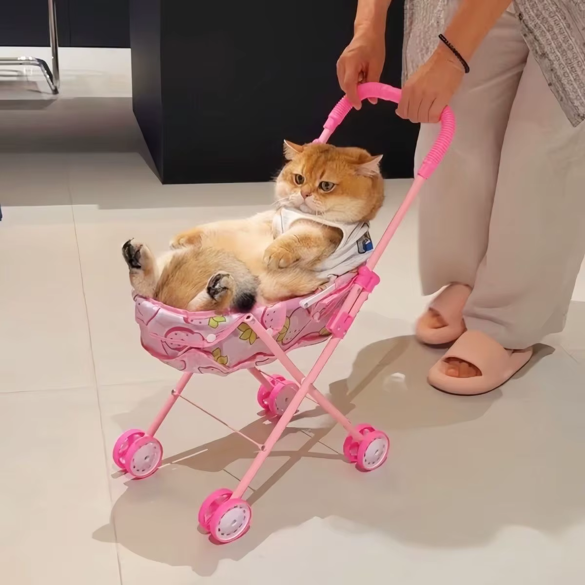 Carrito plegable portátil con sombrilla para perros y gatos