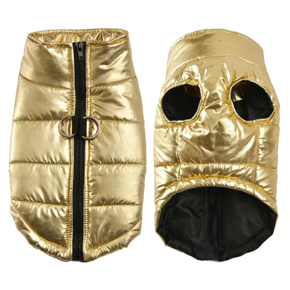 Diseño tipo disfraz para bulldog